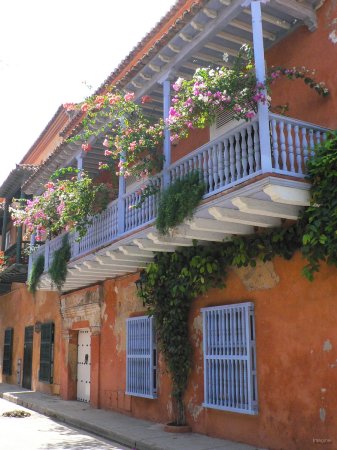 37- Balcon fleuri typique de la vieille ville 